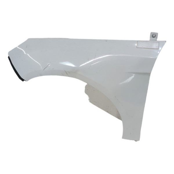 Paralama Esquerdo Focus 2014 A 2019 C/detalhes